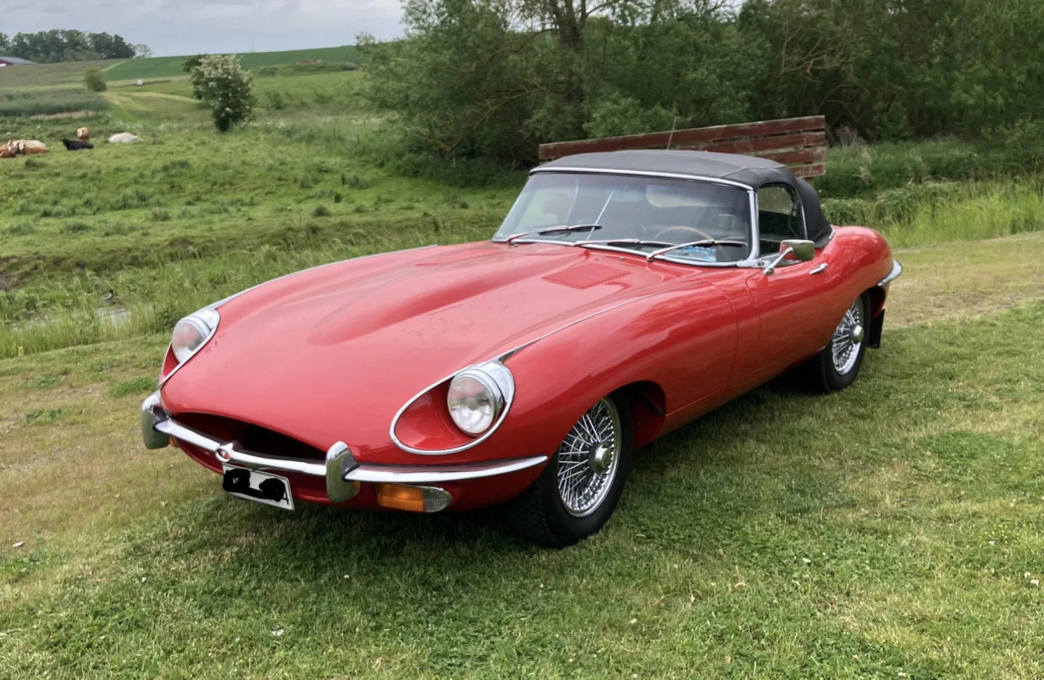 Jaguar E-type